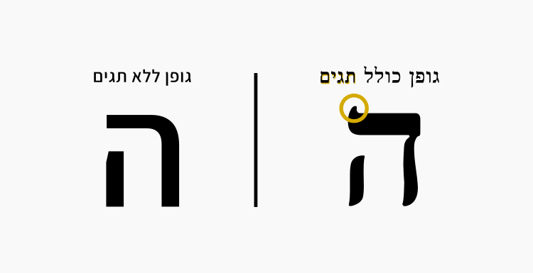 השוואה בין גדלי קבצי תמונה בשני סוגי פורמטים PNG,JPG